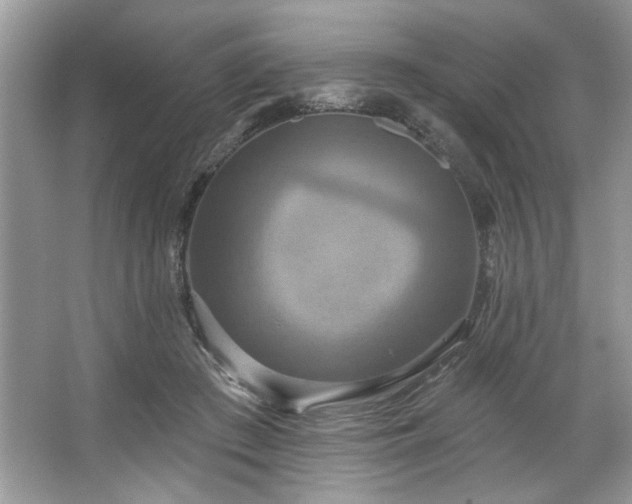 X0000067350409200604071431