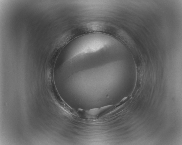 X0000067350410200604071431