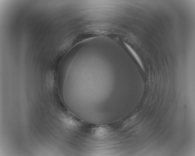 X0000067350412200604071430