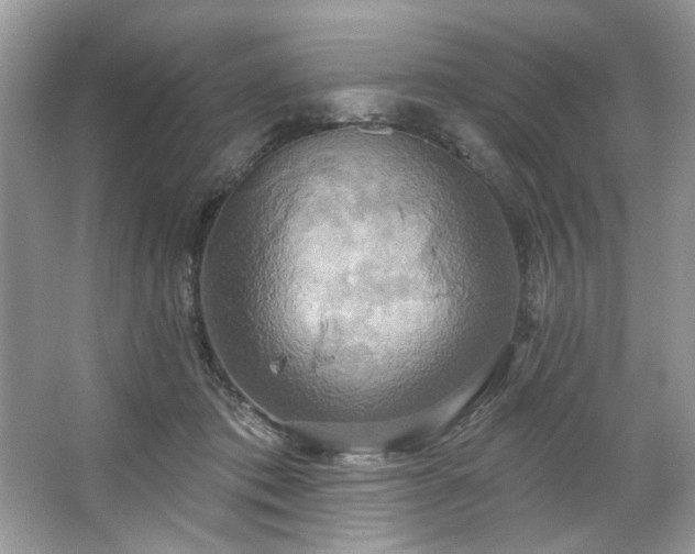 X0000067350413200604071430