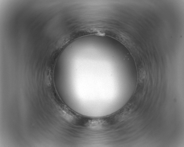 X0000067350414200604071430