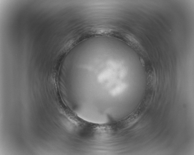 X0000067350415200604071430