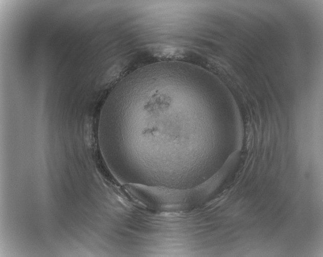 X0000067350416200604071430