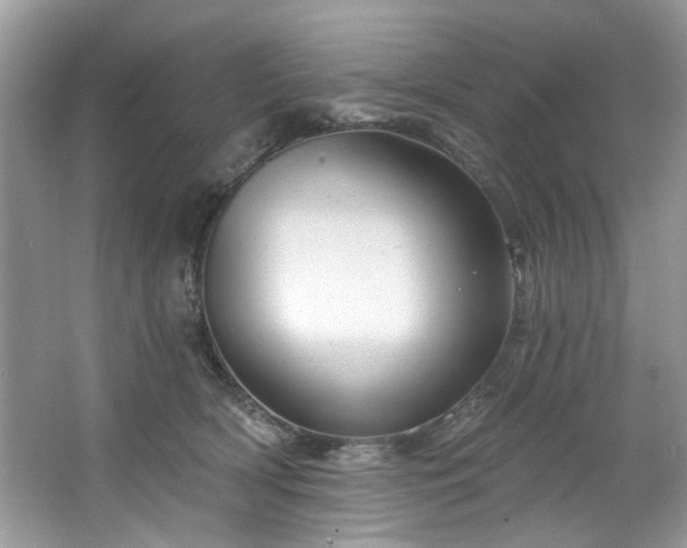 X0000067350418200604071430