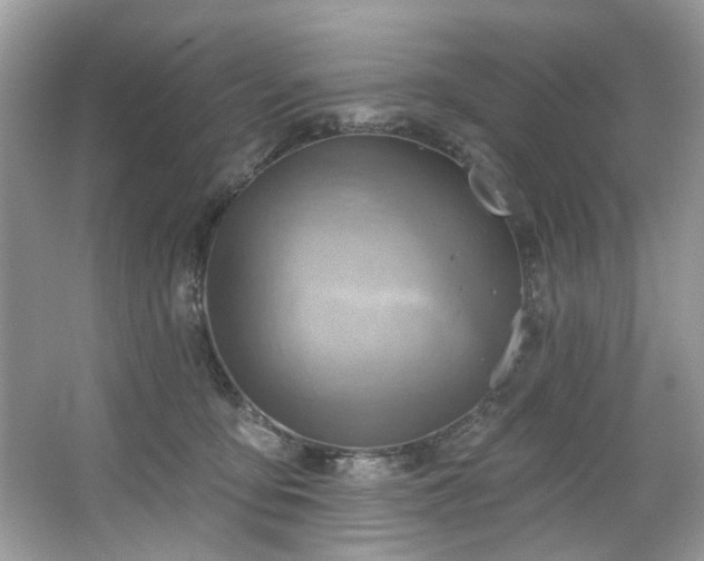 X0000067350419200604071430