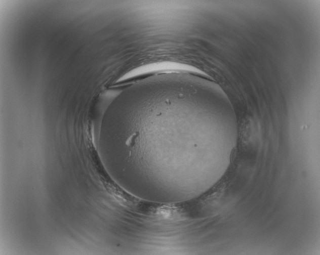 X0000067350420200604071430