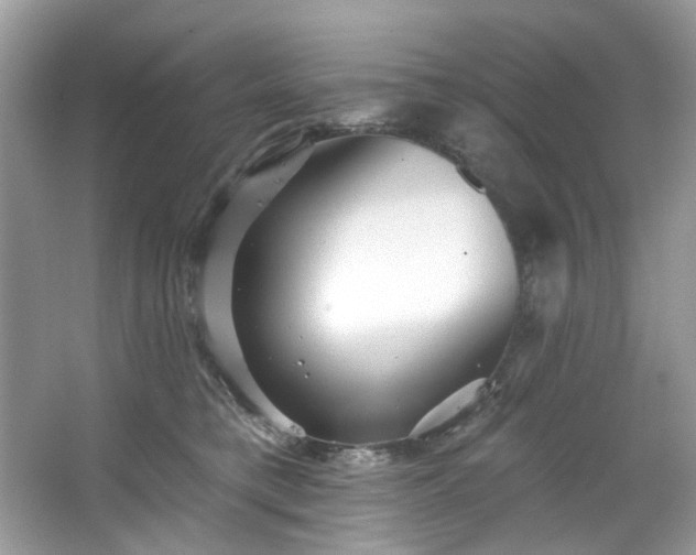 X0000067350421200604071430