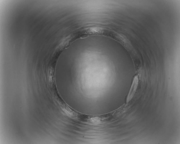 X0000067350423200604071430