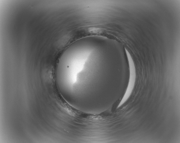 X0000067350424200604071430