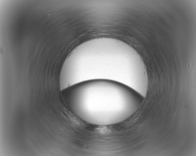 X0000067350425200604071430