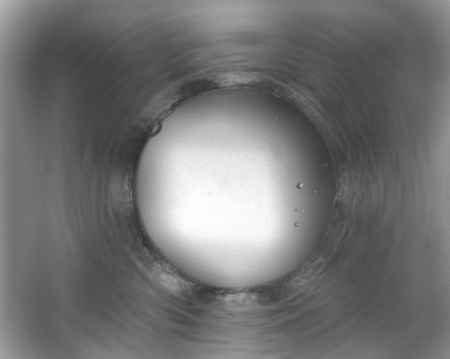 X0000067350426200604071430