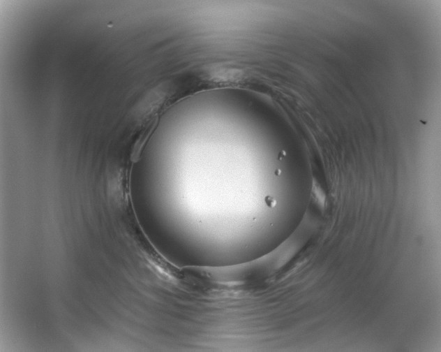 X0000067350428200604071430