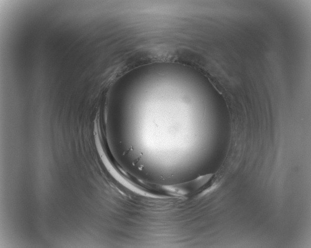 X0000067350432200604071430