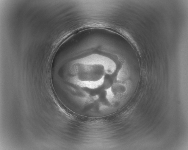 X0000067350433200604071429