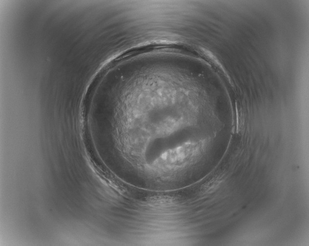 X0000067350435200604071429