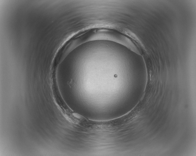 X0000067350436200604071429