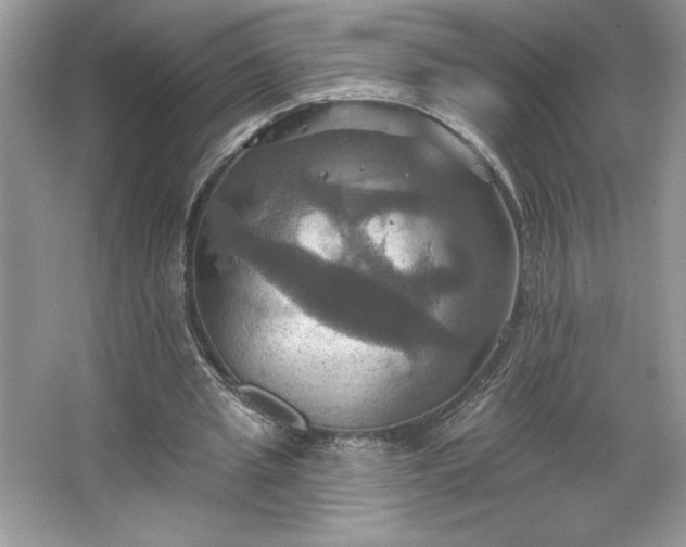 X0000067350437200604071429