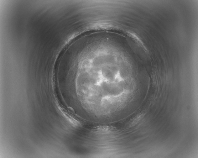 X0000067350439200604071429