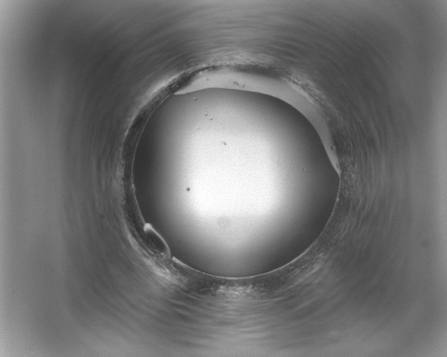 X0000067350440200604071429