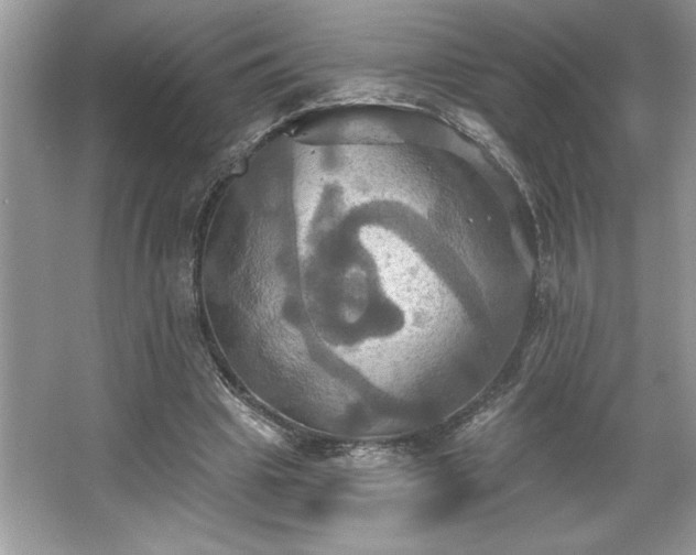 X0000067350441200604071429