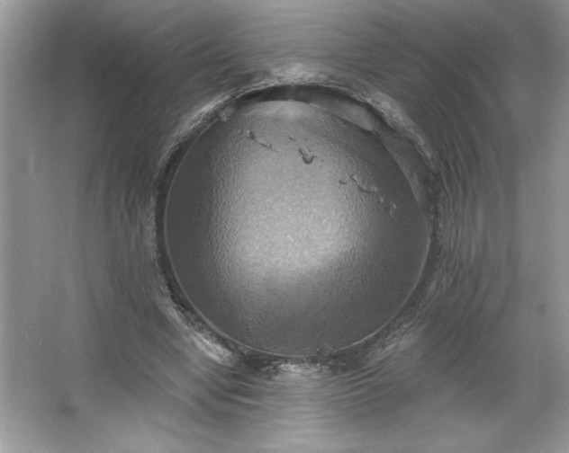 X0000067350442200604071429