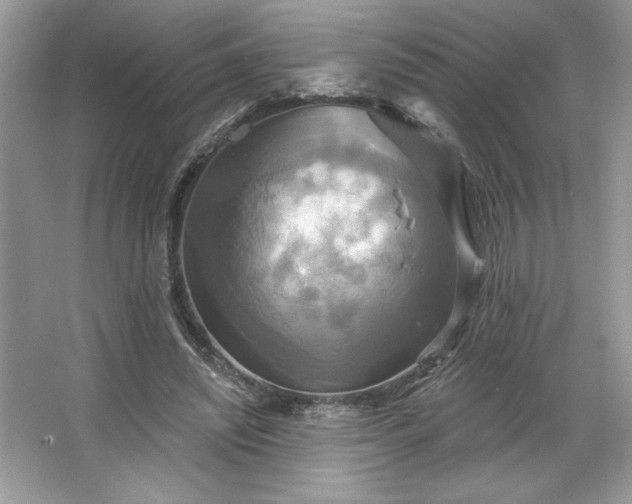 X0000067350444200604071430