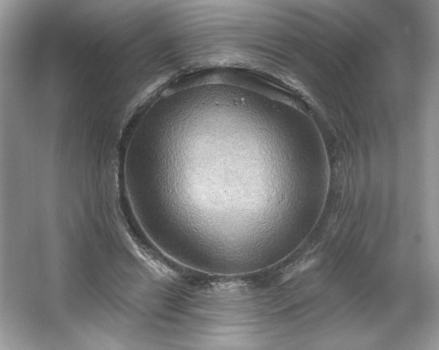 X0000067350446200604071430