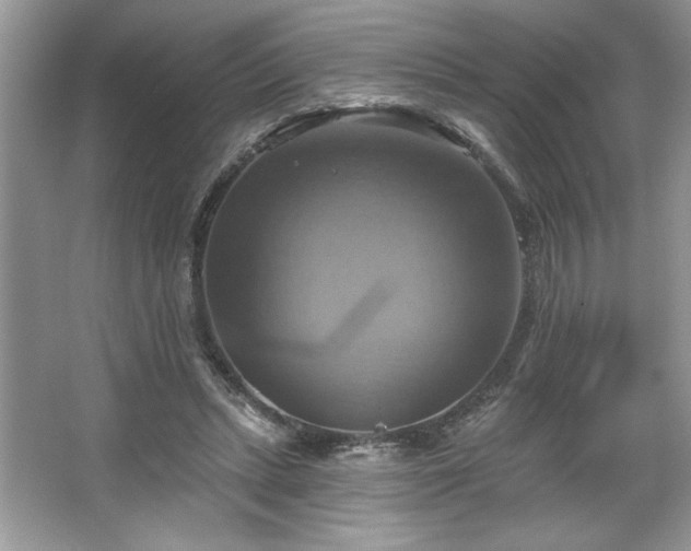 X0000067350447200604071430