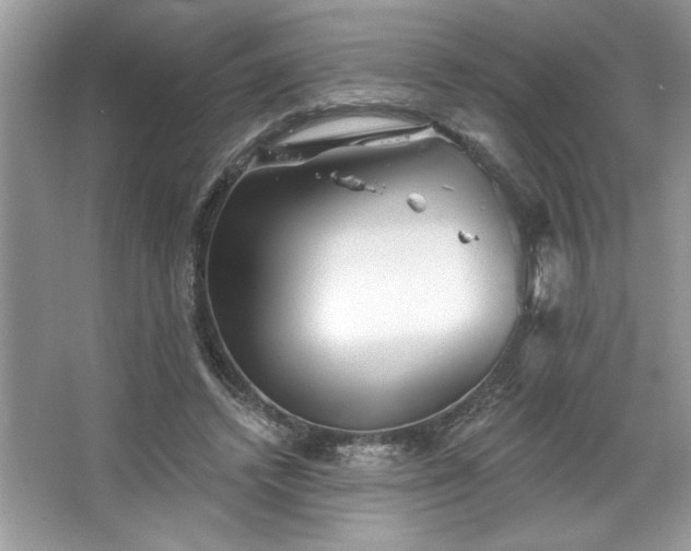 X0000067350448200604071430