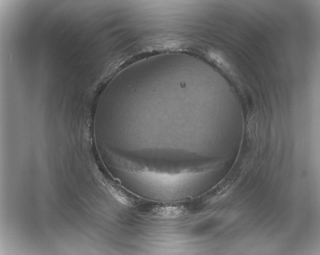 X0000067350449200604071430