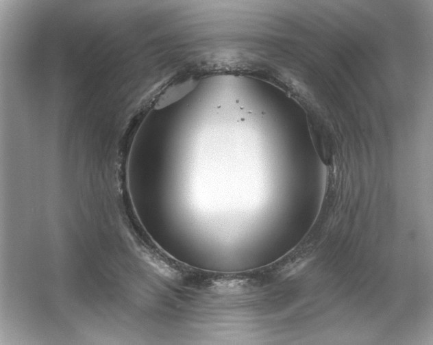 X0000067350450200604071430