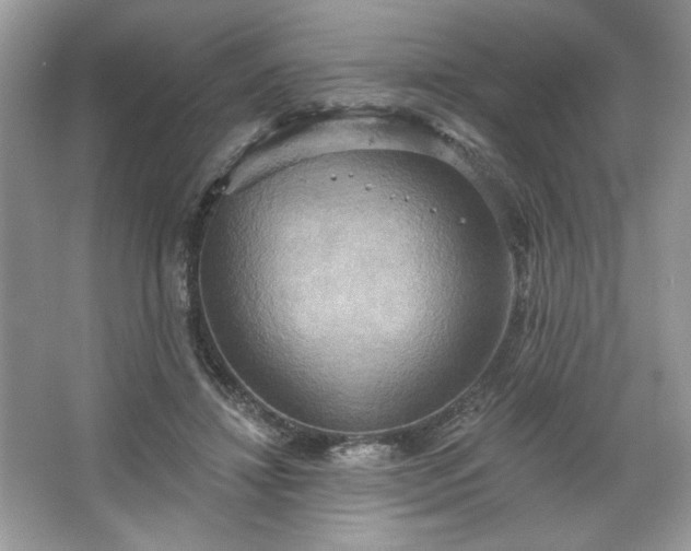 X0000067350452200604071430