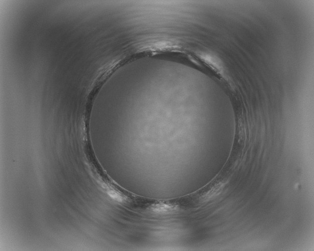 X0000067350453200604071430