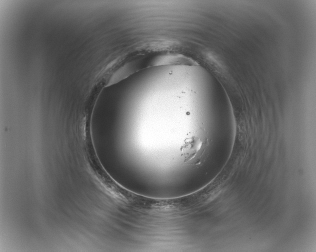 X0000067350454200604071430