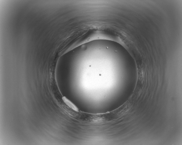 X0000067350456200604071430