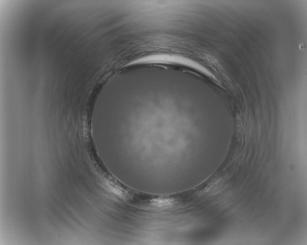 X0000067350457200604071430