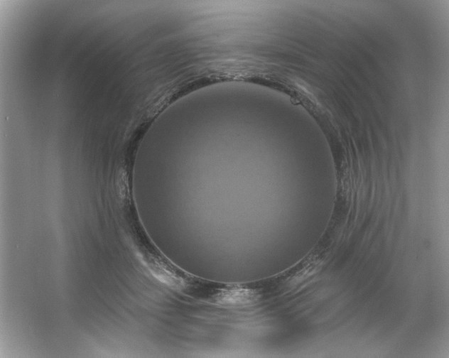 X0000067350459200604071430