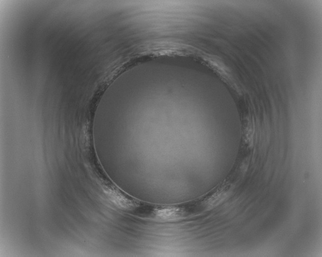 X0000067350461200604071430