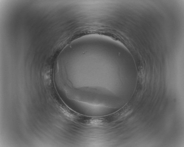 X0000067350462200604071430