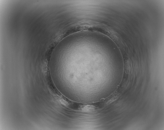 X0000067350463200604071430