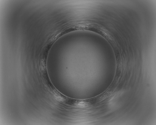 X0000067350467200604071430