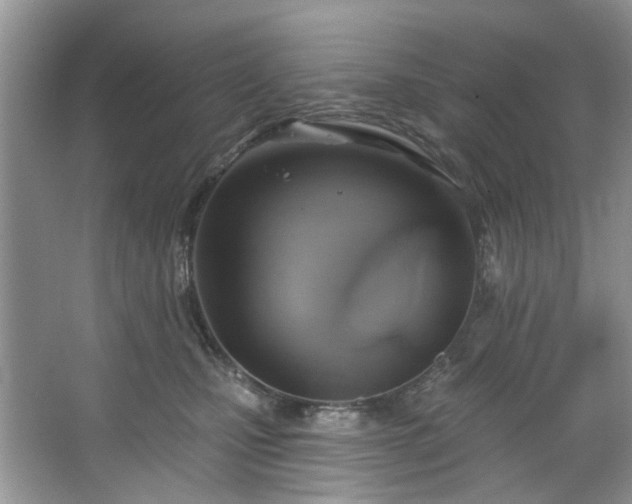 X0000067350471200604071430