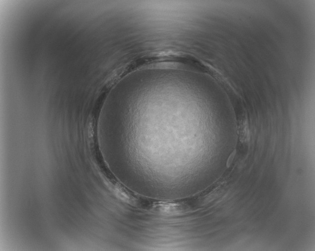 X0000067350472200604071430