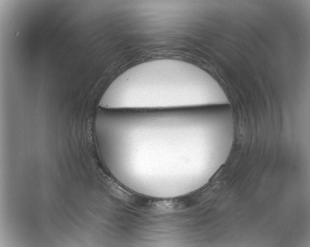 X0000067350473200604071430