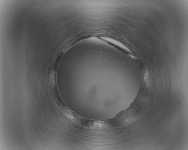 X0000067350475200604071430