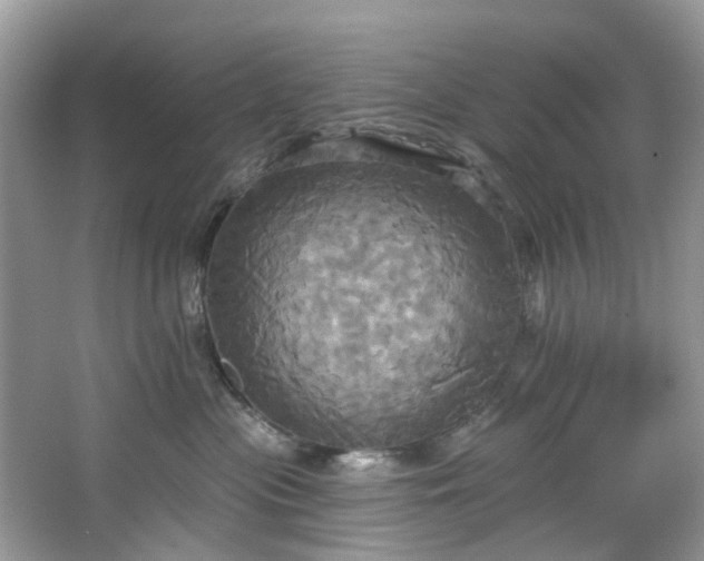 X0000067350477200604071430