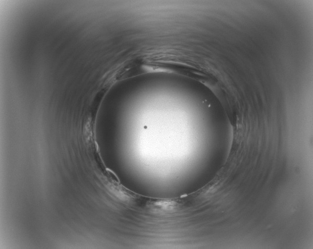 X0000067350478200604071430