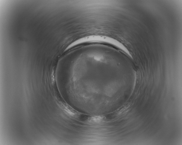 X0000067350479200604071430