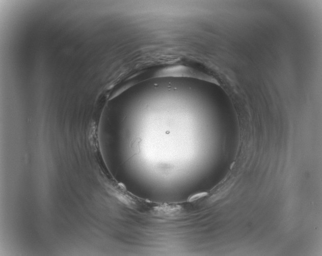 X0000067350480200604071430