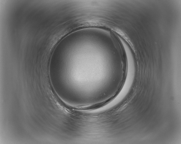 X0000067350481200604071429